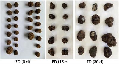 Transcriptome analysis reveals the effect of cold storage time on the expression of genes related to oxidative metabolism in Chinese black truffle